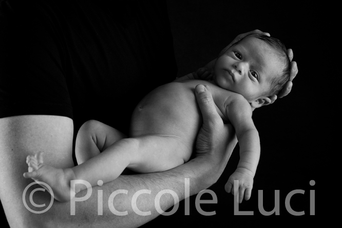 newborn photography treviso